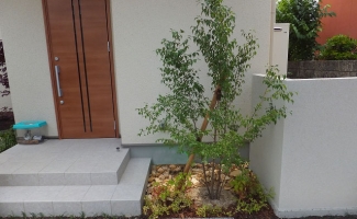 玄関横の植え込み